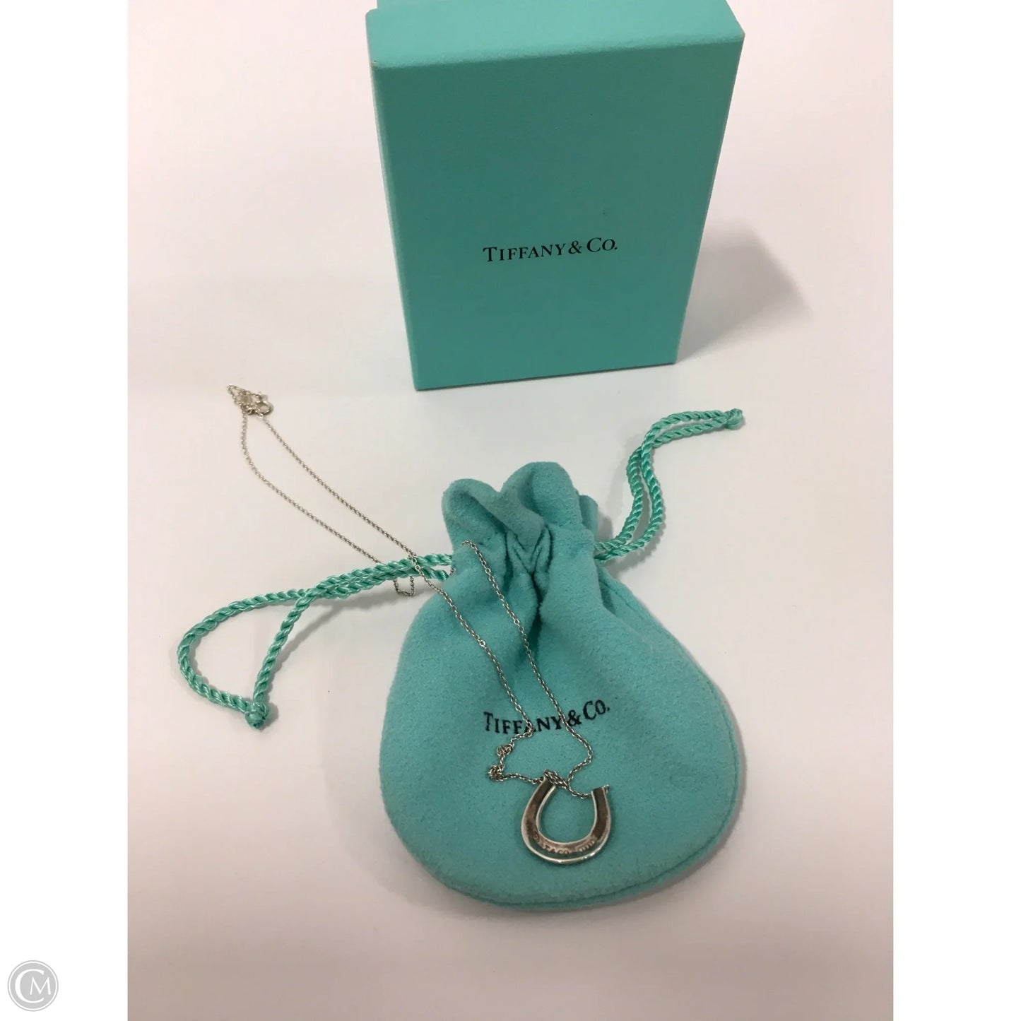 Necklace Luxury Designer By Tiffany And Company