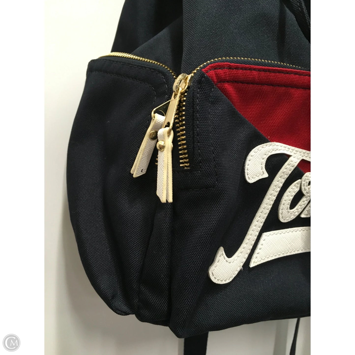 Backpack By Tommy Hilfiger, Size: Large