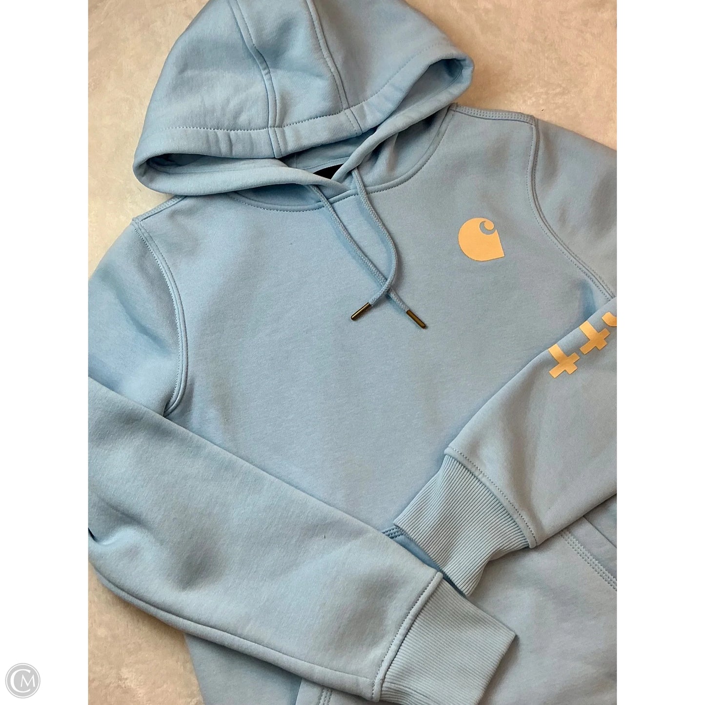 Sweatshirt Hoodie By Carhartt In Blue, Size: Xs