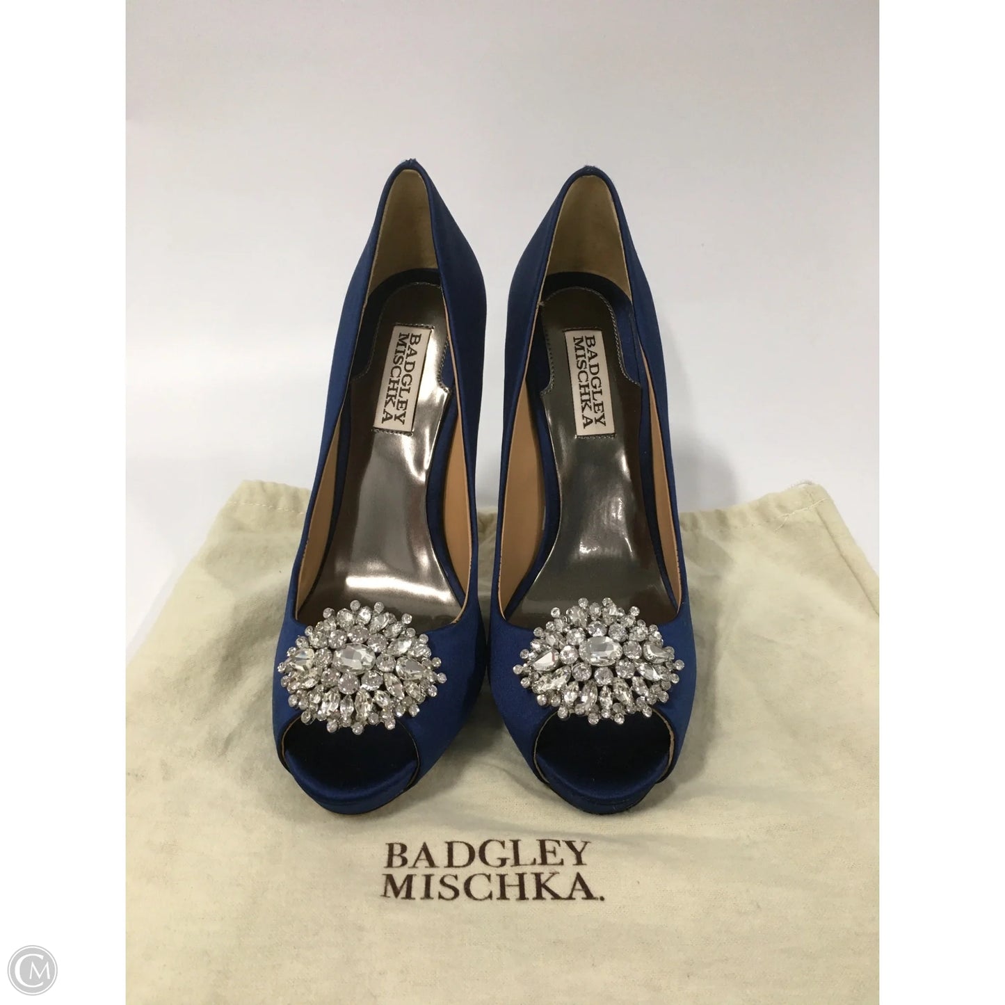 Shoes Heels Platform By Badgley Mischka In Blue, Size: 7