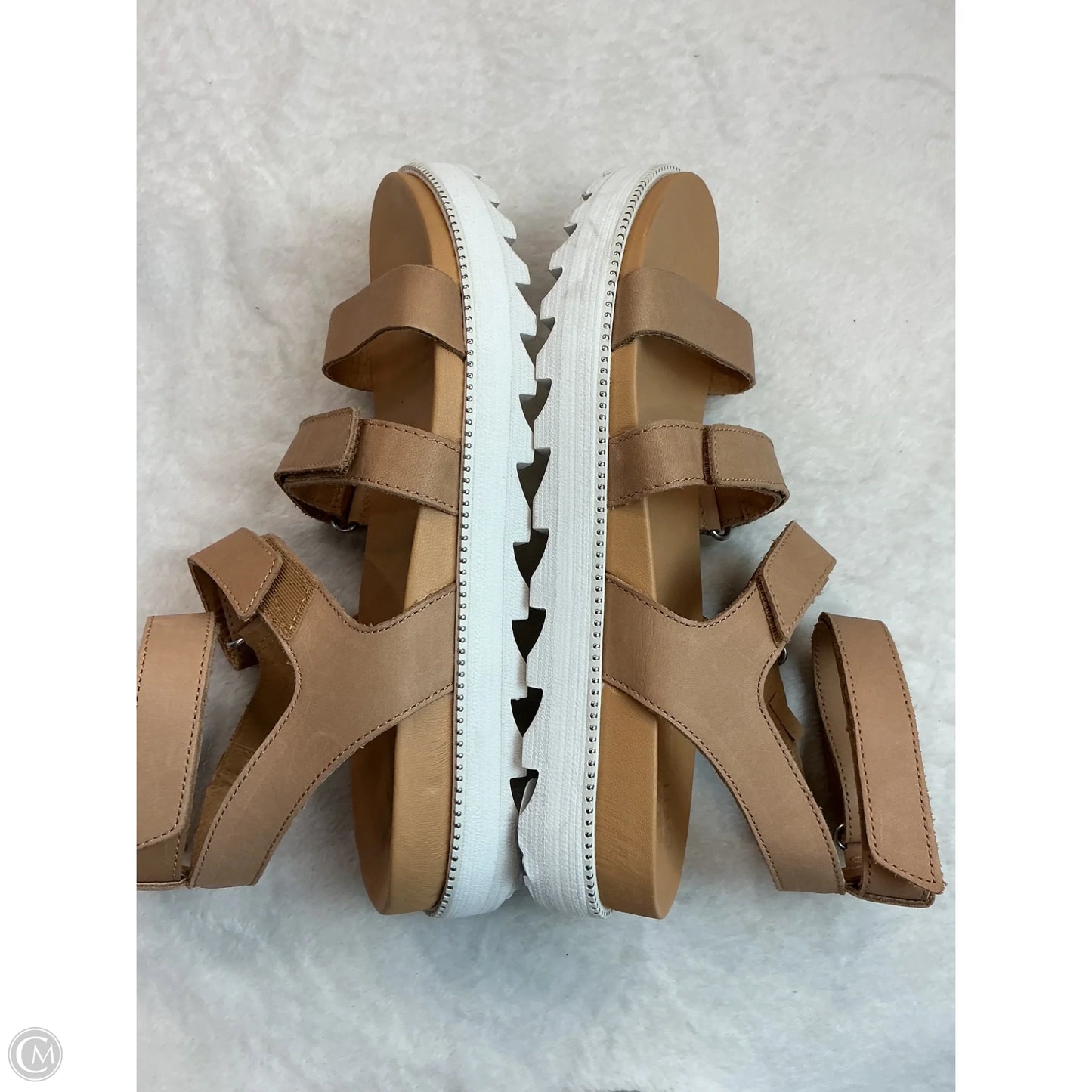 Sandals Flats By Sorel In Brown & White, Size: 8