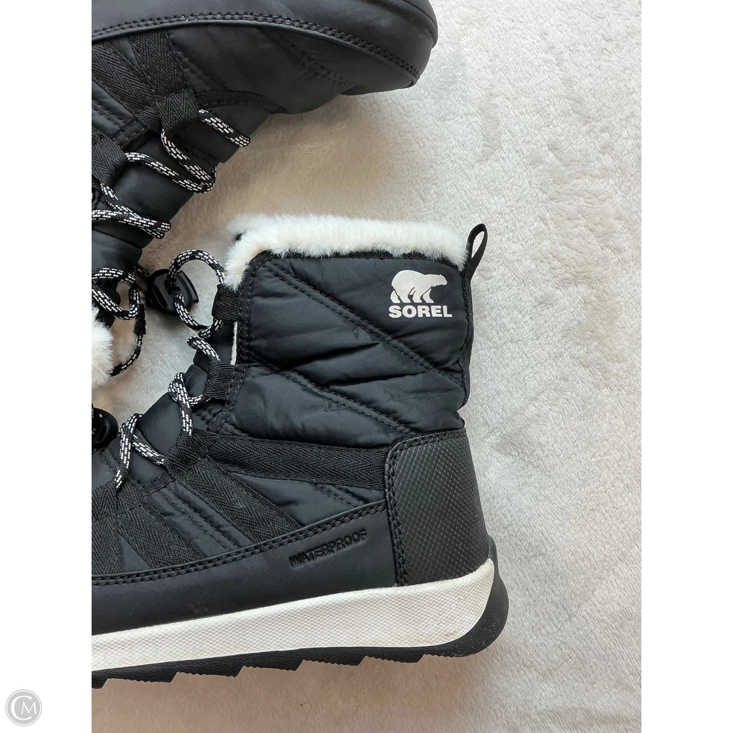 Boots Snow By Sorel In Black, Size: 6